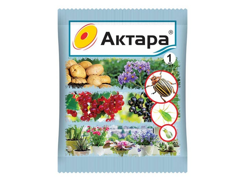 Курятник на 10 кур своими руками: чертежи и фото популярных вариантов
