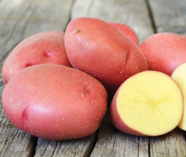 Сорт картофеля Эволюшн (Эволюшен): характеристика, фото и описание, отзывы