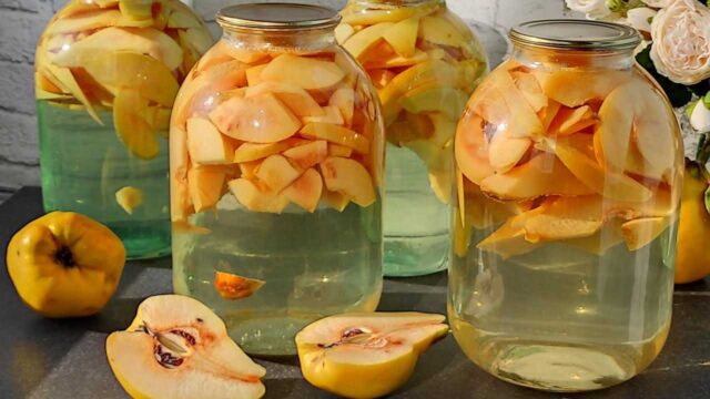Компот из айвы на зиму: рецепты приготовления
