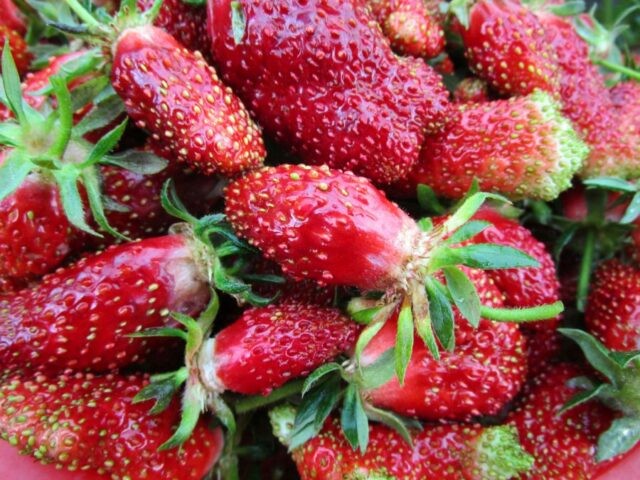 Клубничное желе на зиму с желатином: рецепты с фото, как сделать