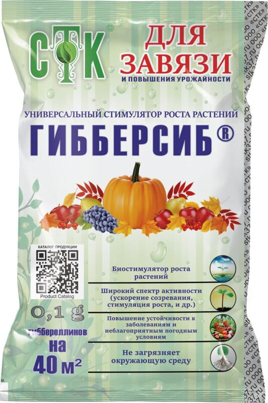 Почему нет завязи на баклажанах в теплице: что делать